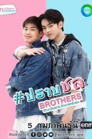 Brothers The Series